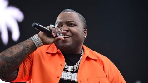 Sean Kingston, who was accused of gang rape in 2010, has reportedly settled with his 22-year-old accuser. According to TMZ, the singer settled not as an admission of guilt, but because he did not ...